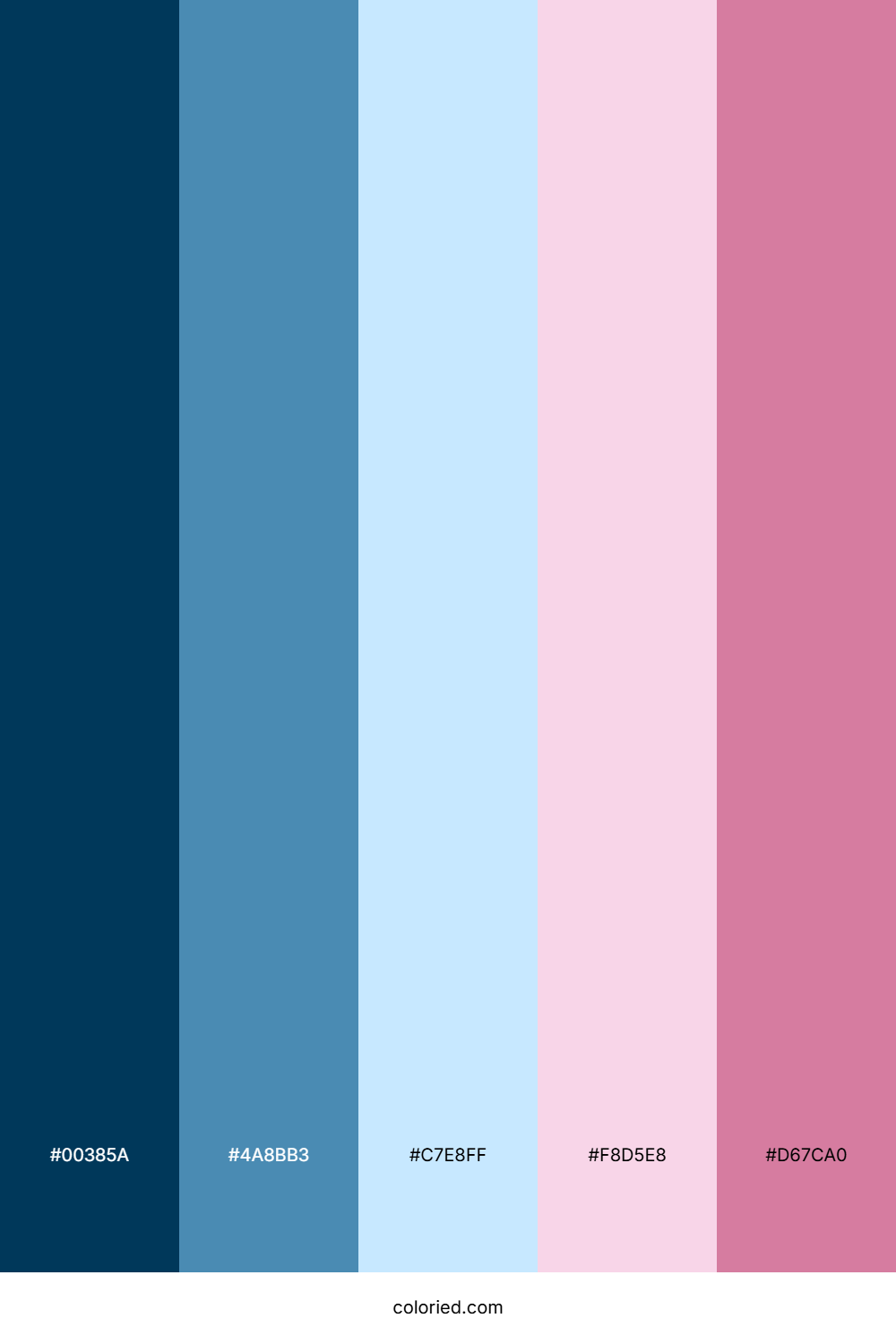 Pale Blue and Light Pink Color Palette