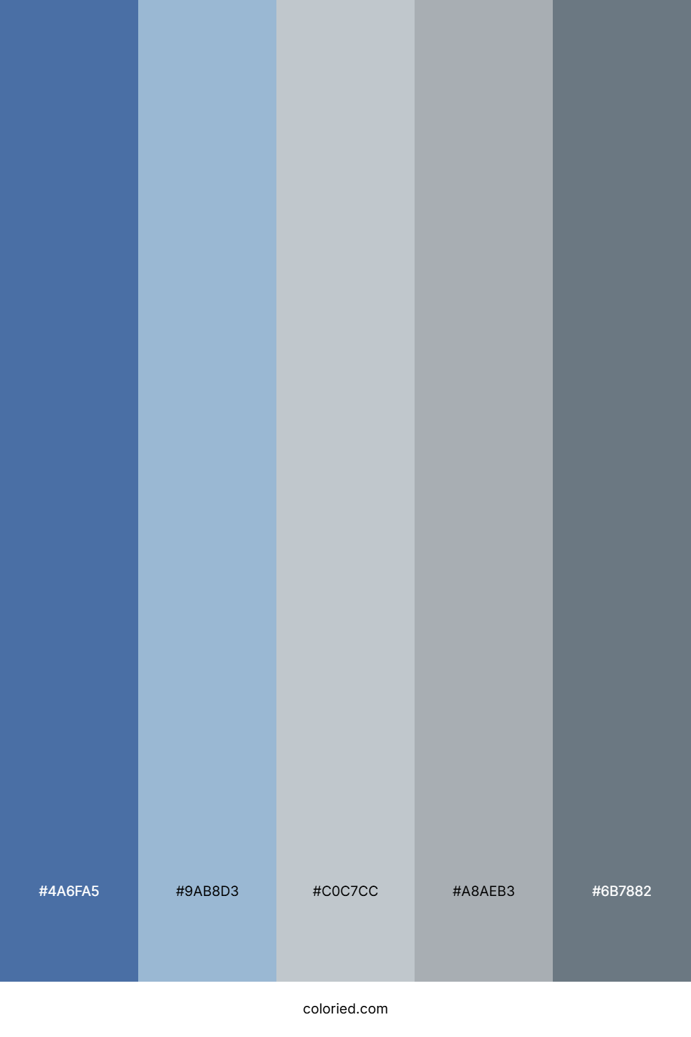Pale Blue and Silver Color Palette