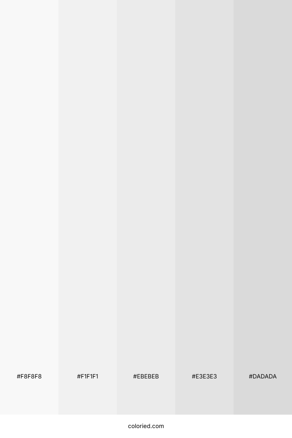 Pale Gray and Light Gray Color Palette