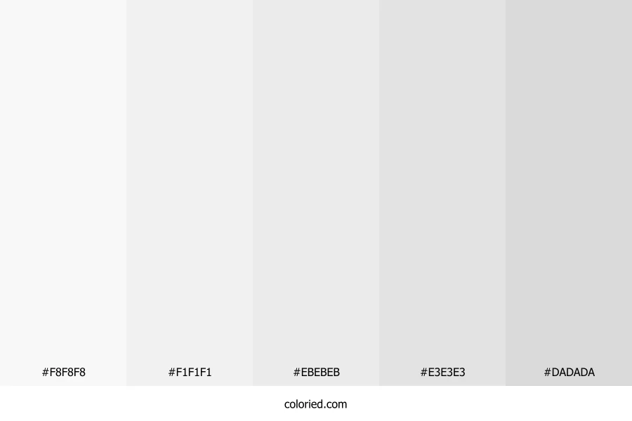 Pale Gray and Light Gray Color Palette