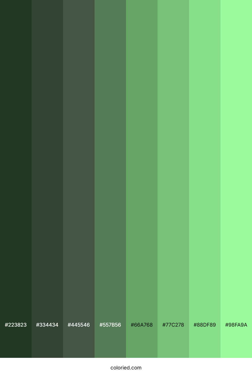 Pale Green Color Shades