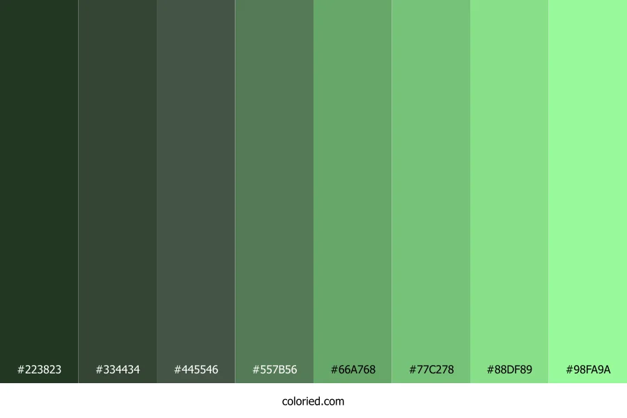 Pale Green Color Shades