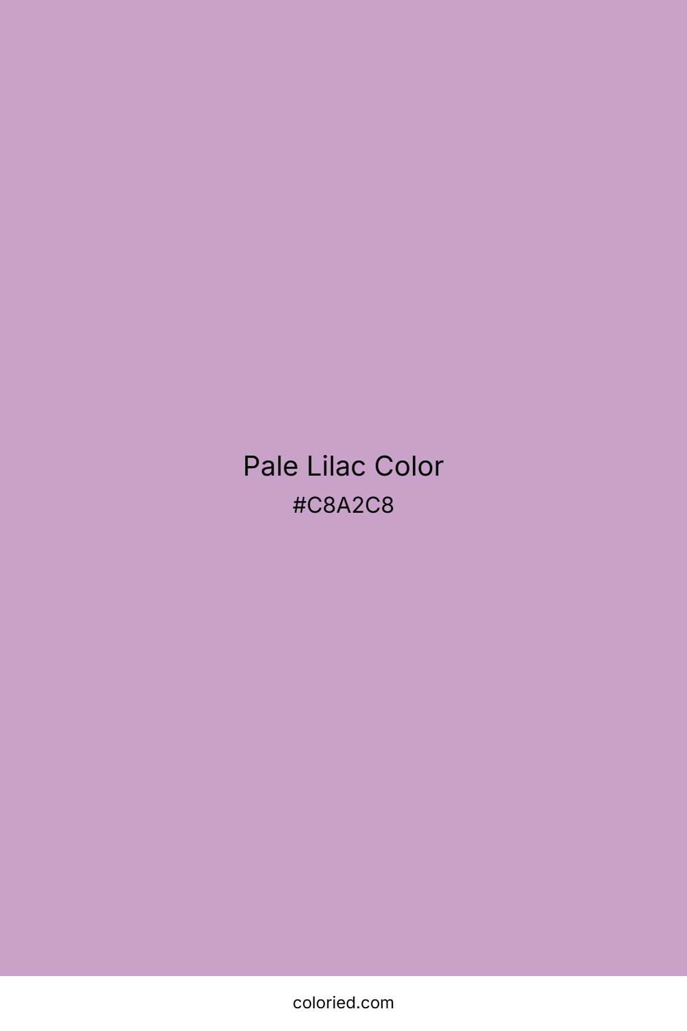 Pale Lilac Color