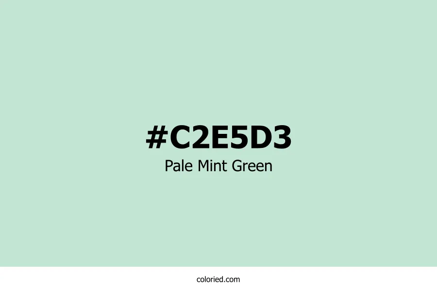 Pale Mint Green Color