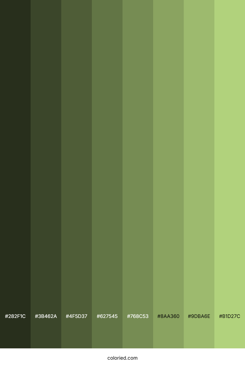 Pale Olive Green Color Shades