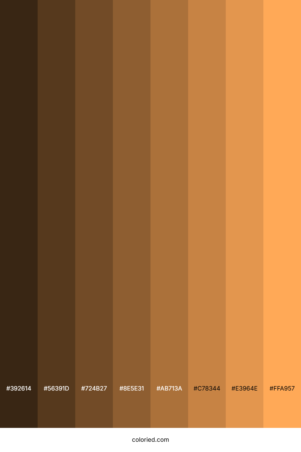 Pale Orange Color Shades