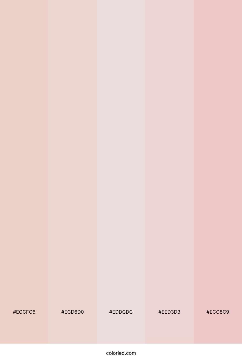 Pale Peach and Soft Pink Color Palette