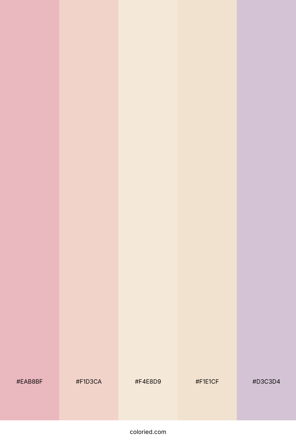 Pale Rose And Lavender Color Palette