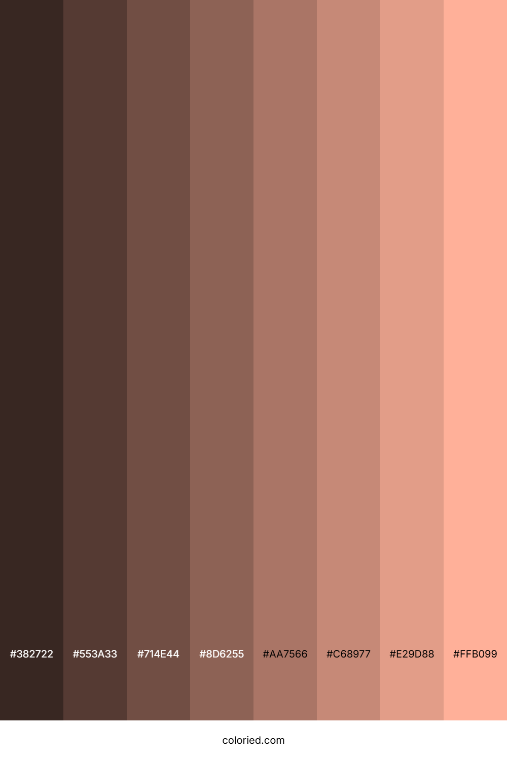 Pale Salmon Color Shades