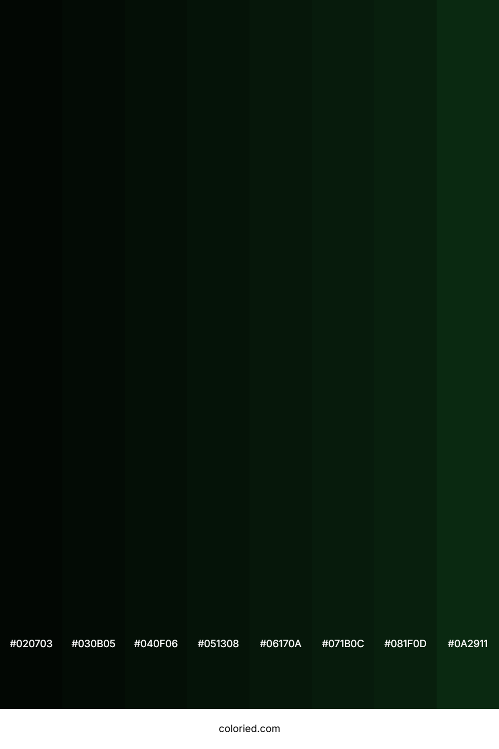 Palm Green Color Shades