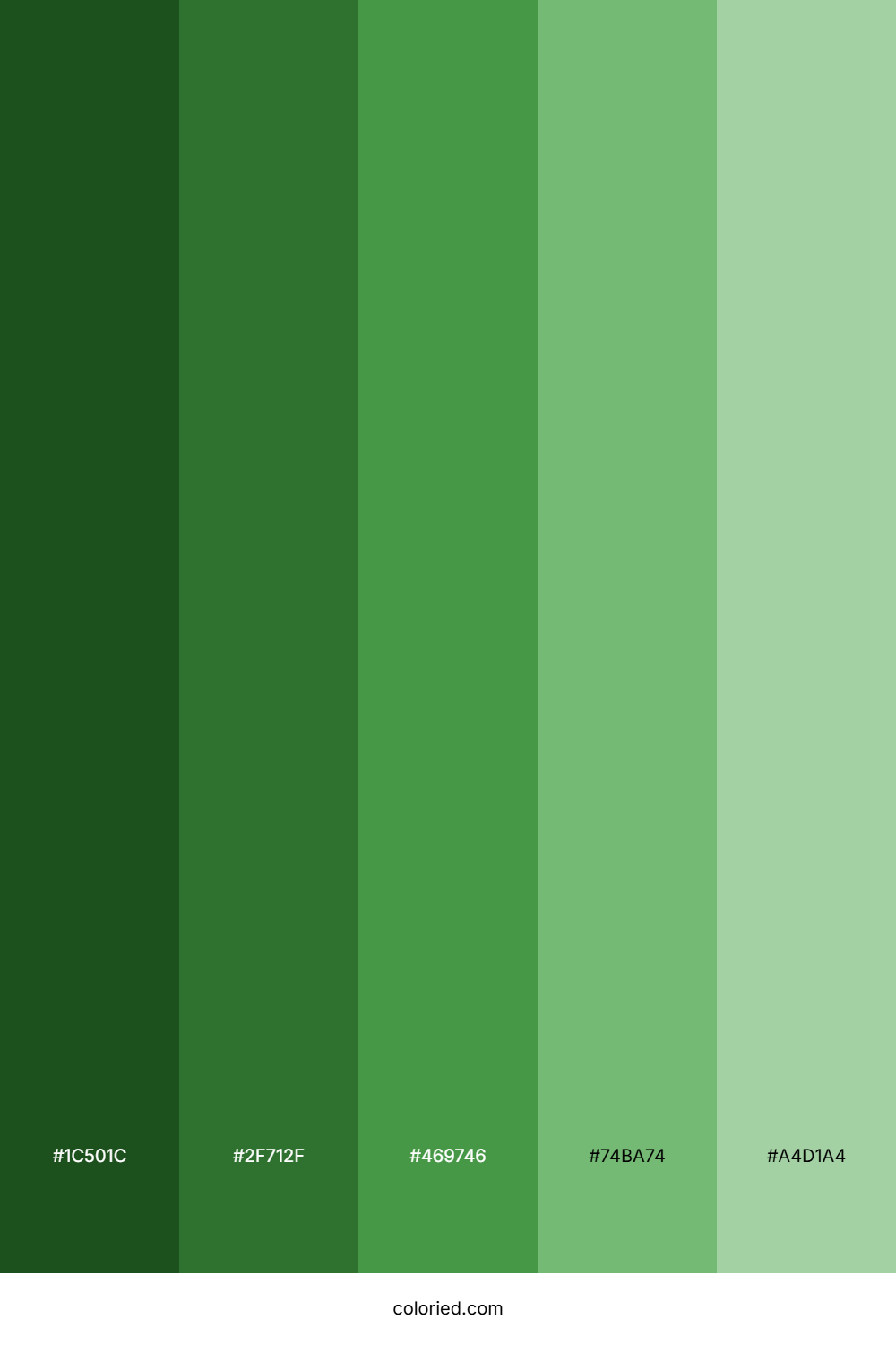 Parrot Green Shades Color Palette