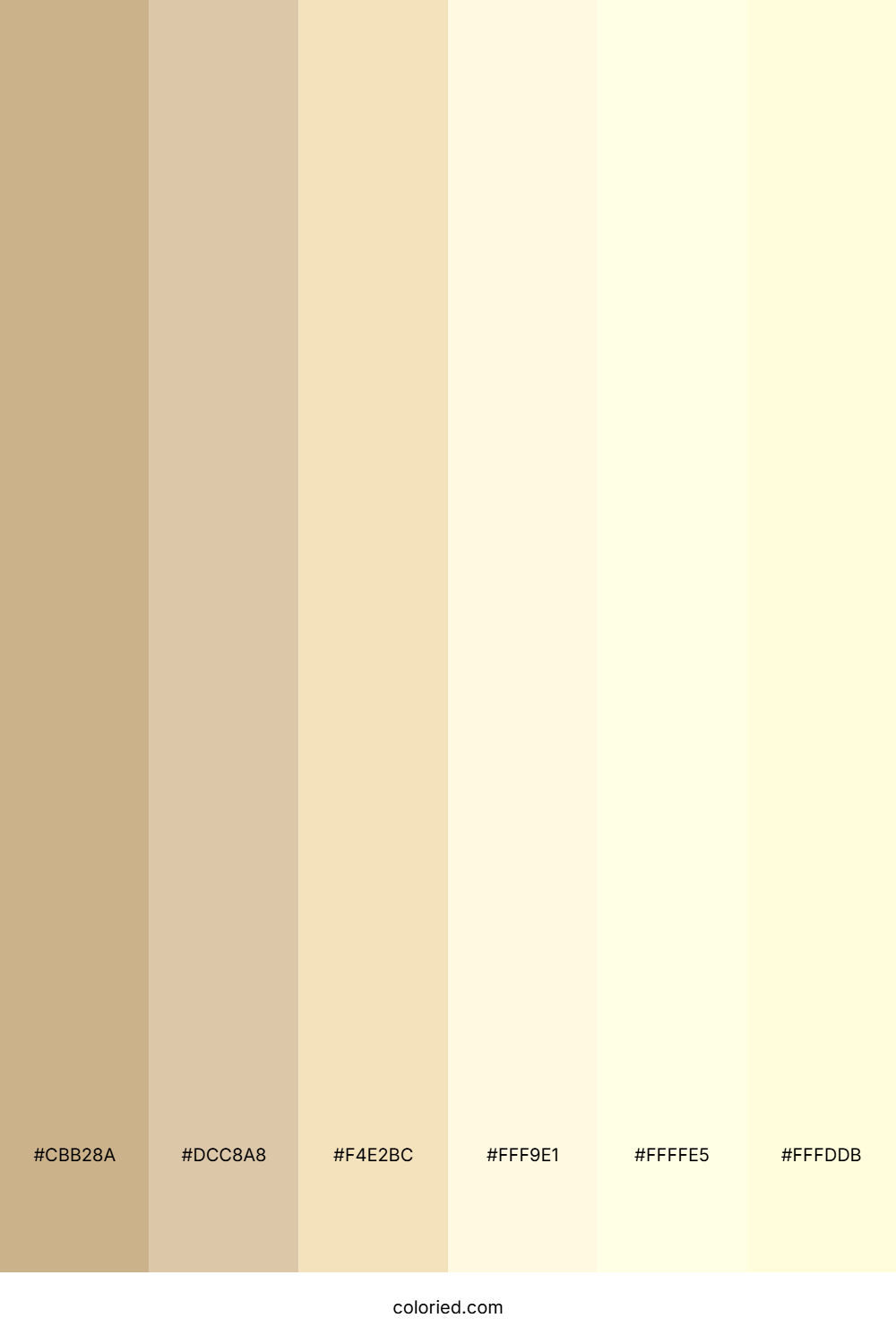 Pastel Beige and Cream Color Palette