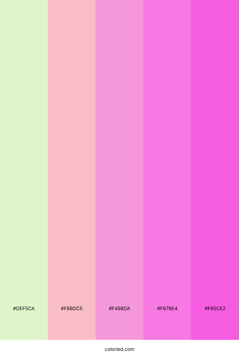 Pastel Blossom Rush Palette