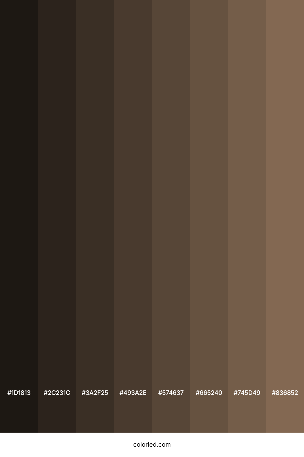 Pastel Brown Color Shades