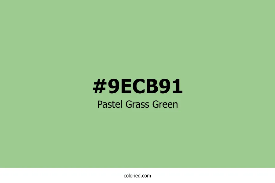 Pastel Grass Green Color