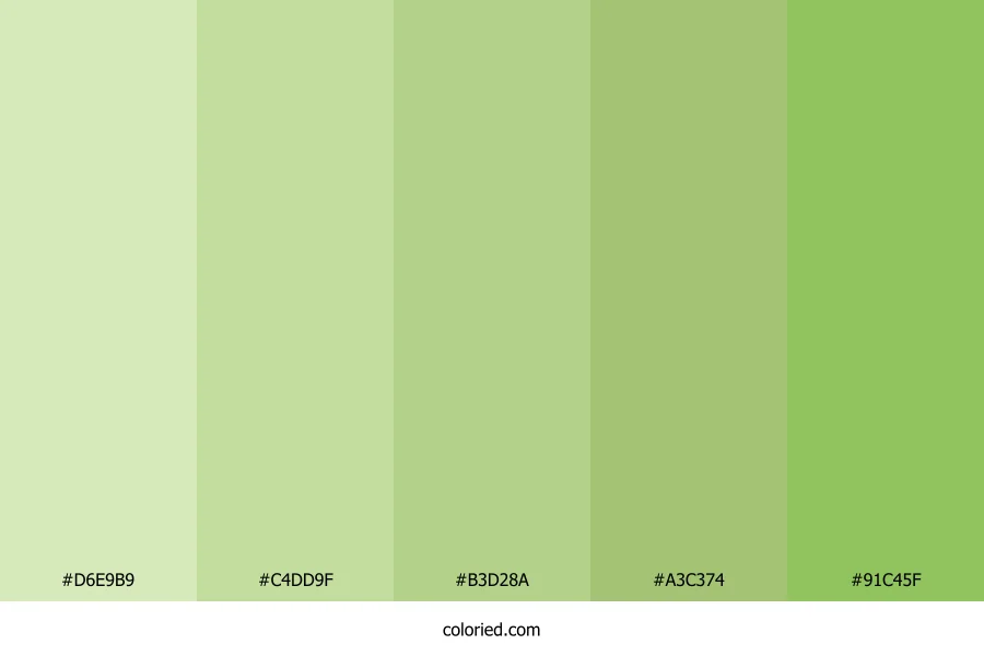 Pastel Green and Lime Color Palette