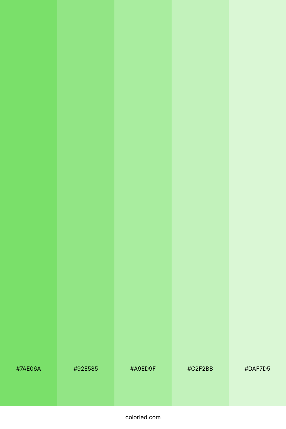 Pastel Green and Mint Color Palette