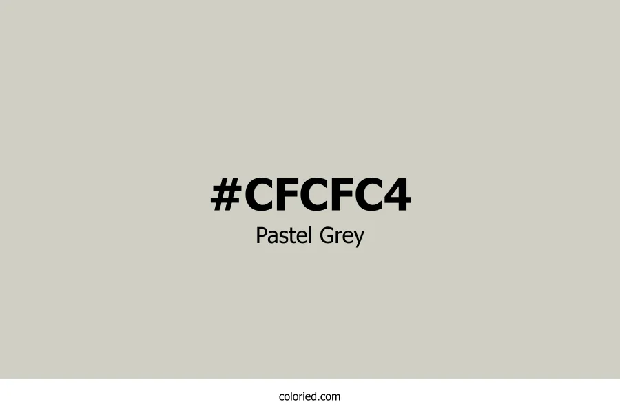 Pastel Grey Color Hex Code