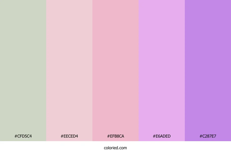 Pastel Lavender Bloom Color Palette