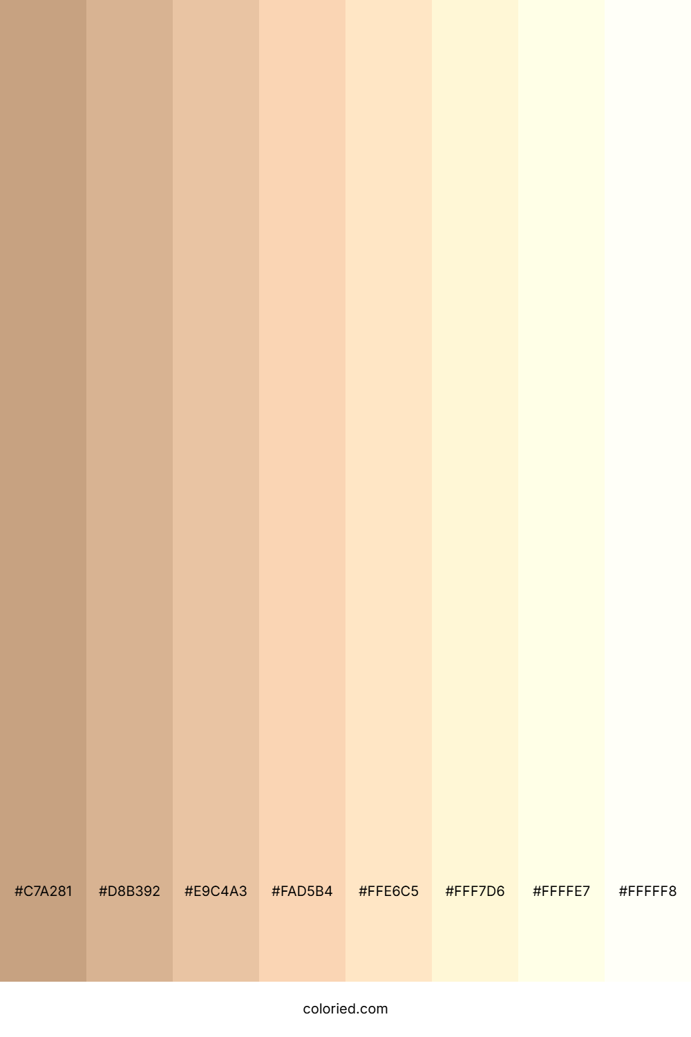 Pastel Peach Shades