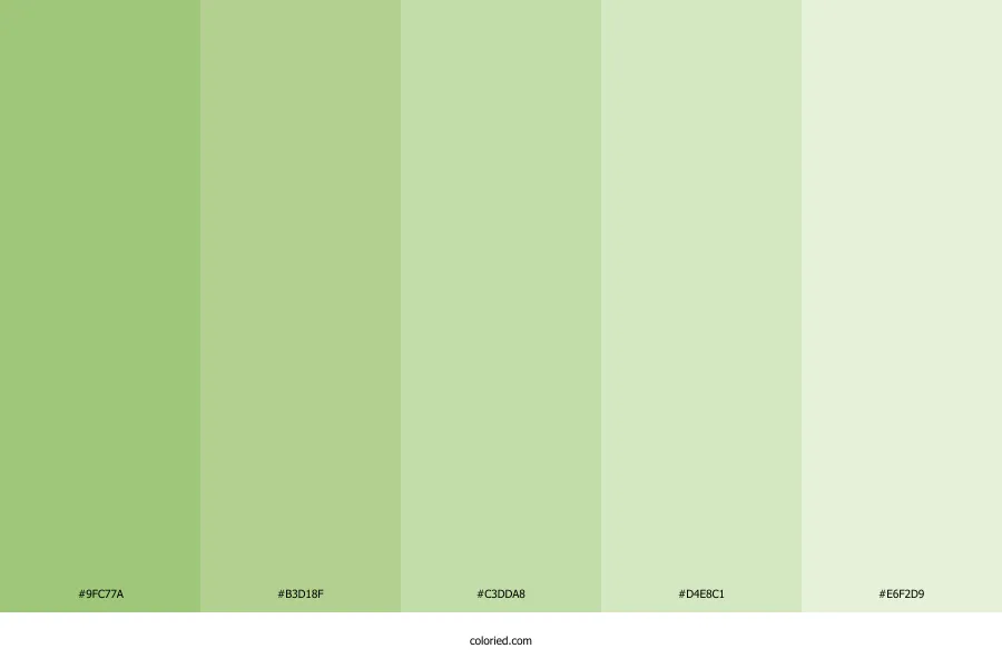 Pastel Pistachio Green Color Palette