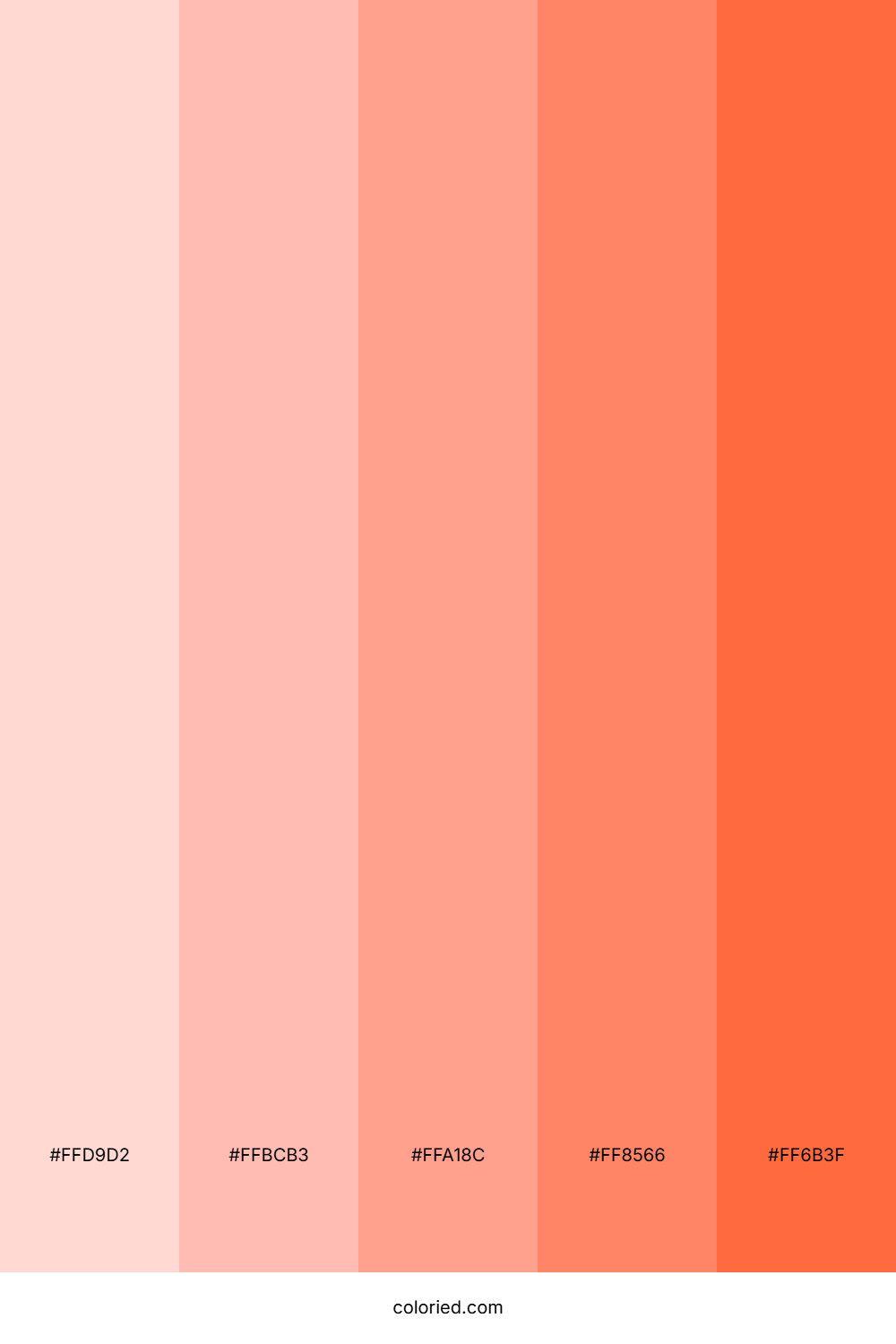 Pastel Tender Coral Color Palette