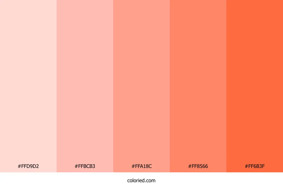 Pastel Tender Coral Color Palette