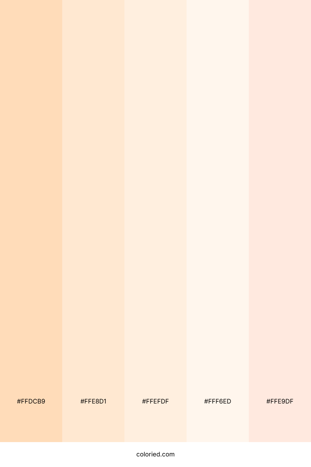Peach and Cream Color Palette