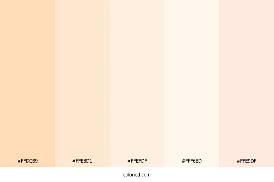 Peach and Cream Color Palette