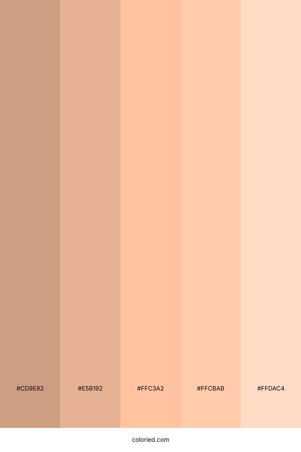Peach and Light Coral Color Palette