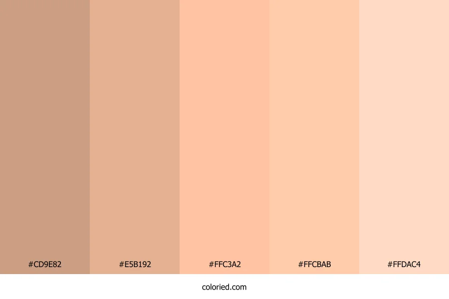 Peach and Light Coral Color Palette