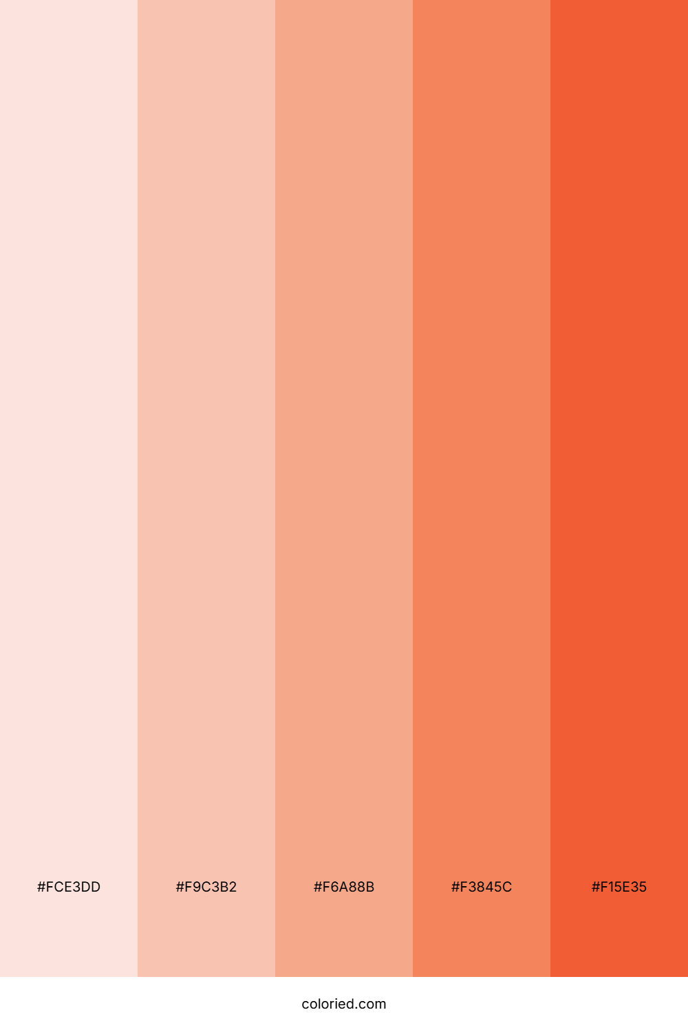 Peach and Terracotta Color Palette