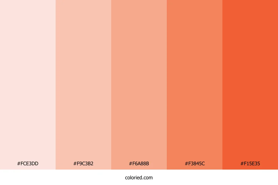 Peach and Terracotta Color Palette