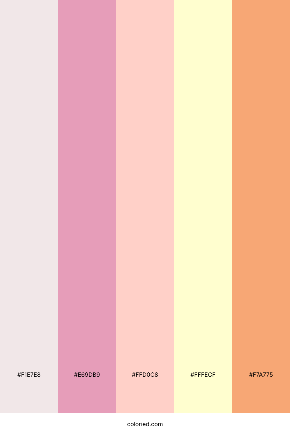 Peach Cream Palette