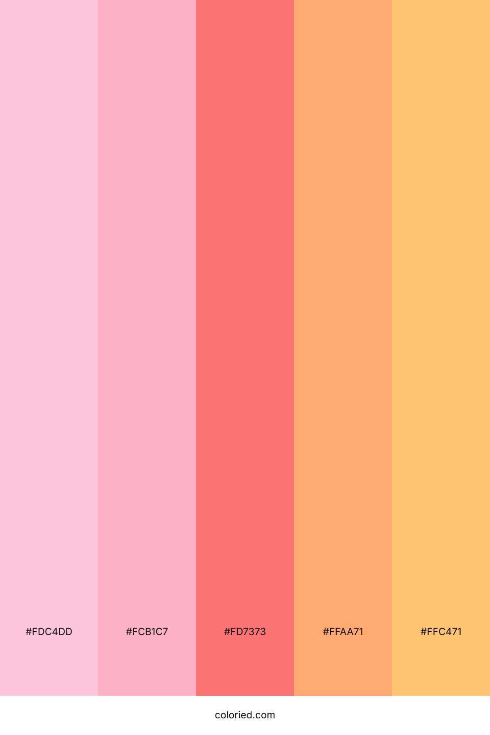 Peach Rose Carnival Color Palette