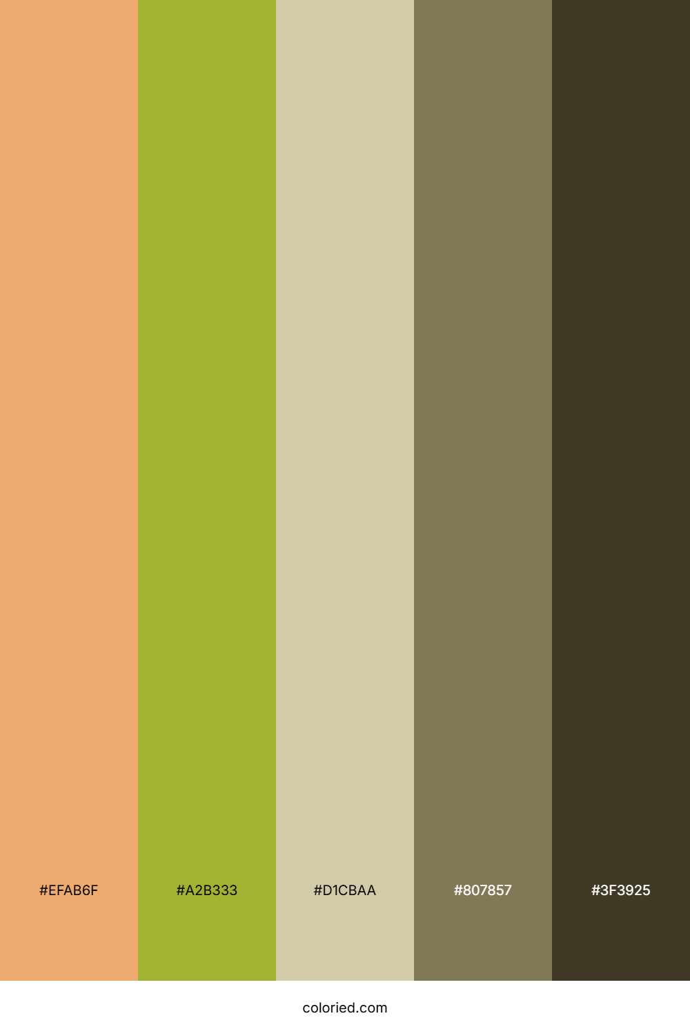 Peach Sage Earth Color Palette