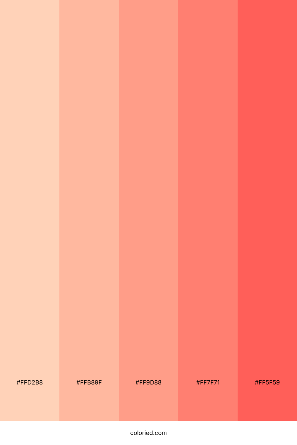 Peach Salmon Coral Color Palette