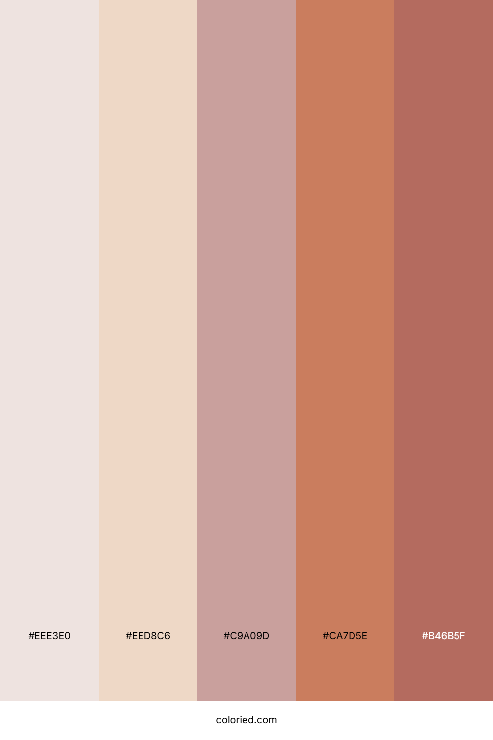 Peach Sandstone Drift Color Palette