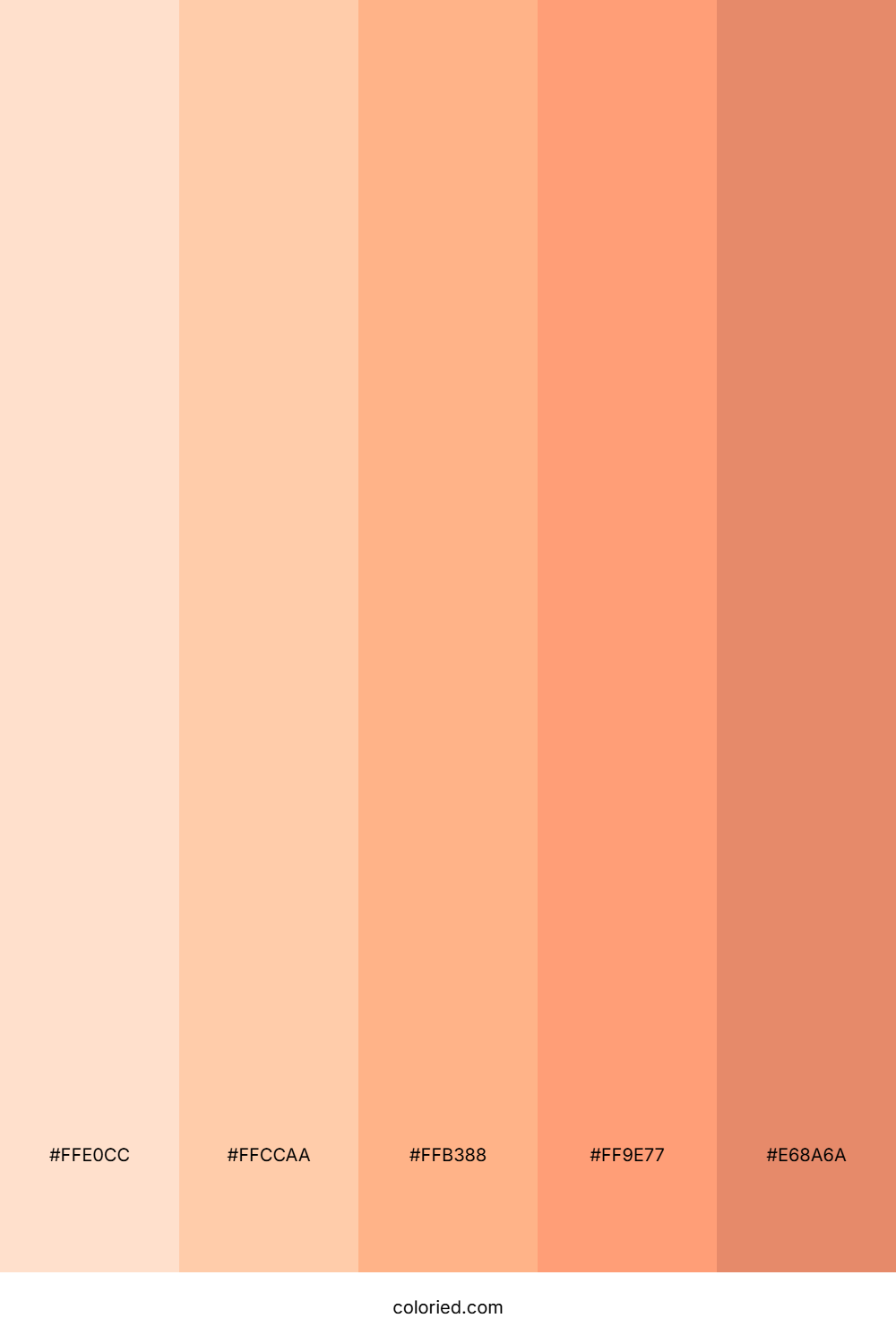 Peach Skin Tones Color Palette