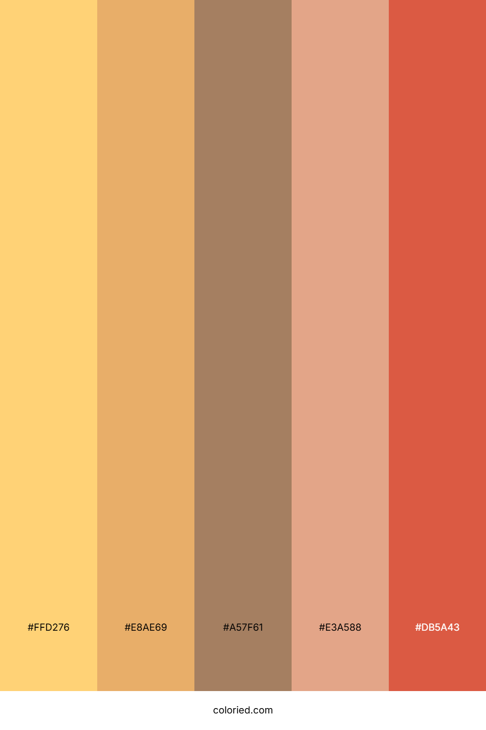 Peachy Coral Dawn Color Palette