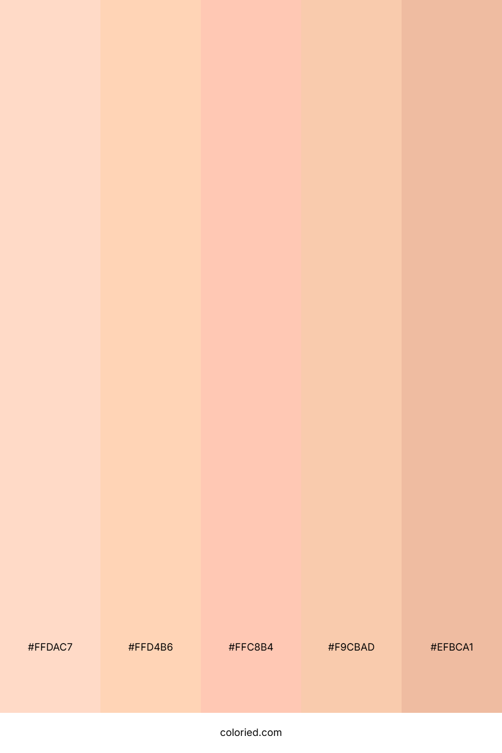 Peachy Coral Glow Color Palette