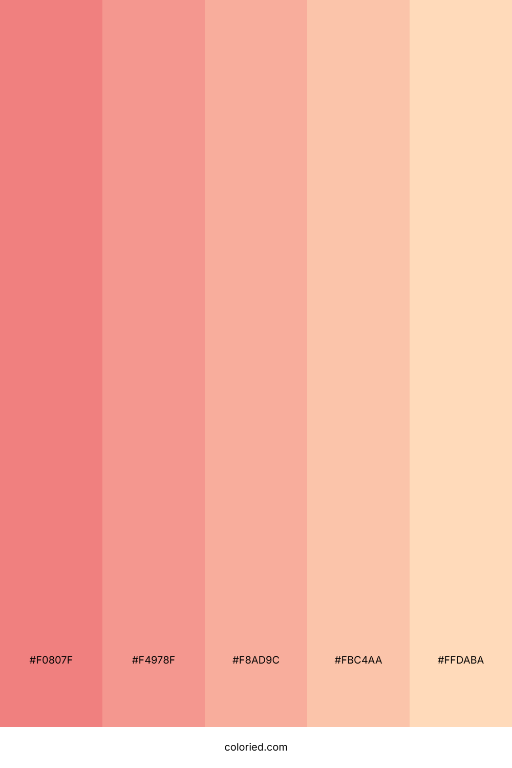 Peachy Coral Mist Palette