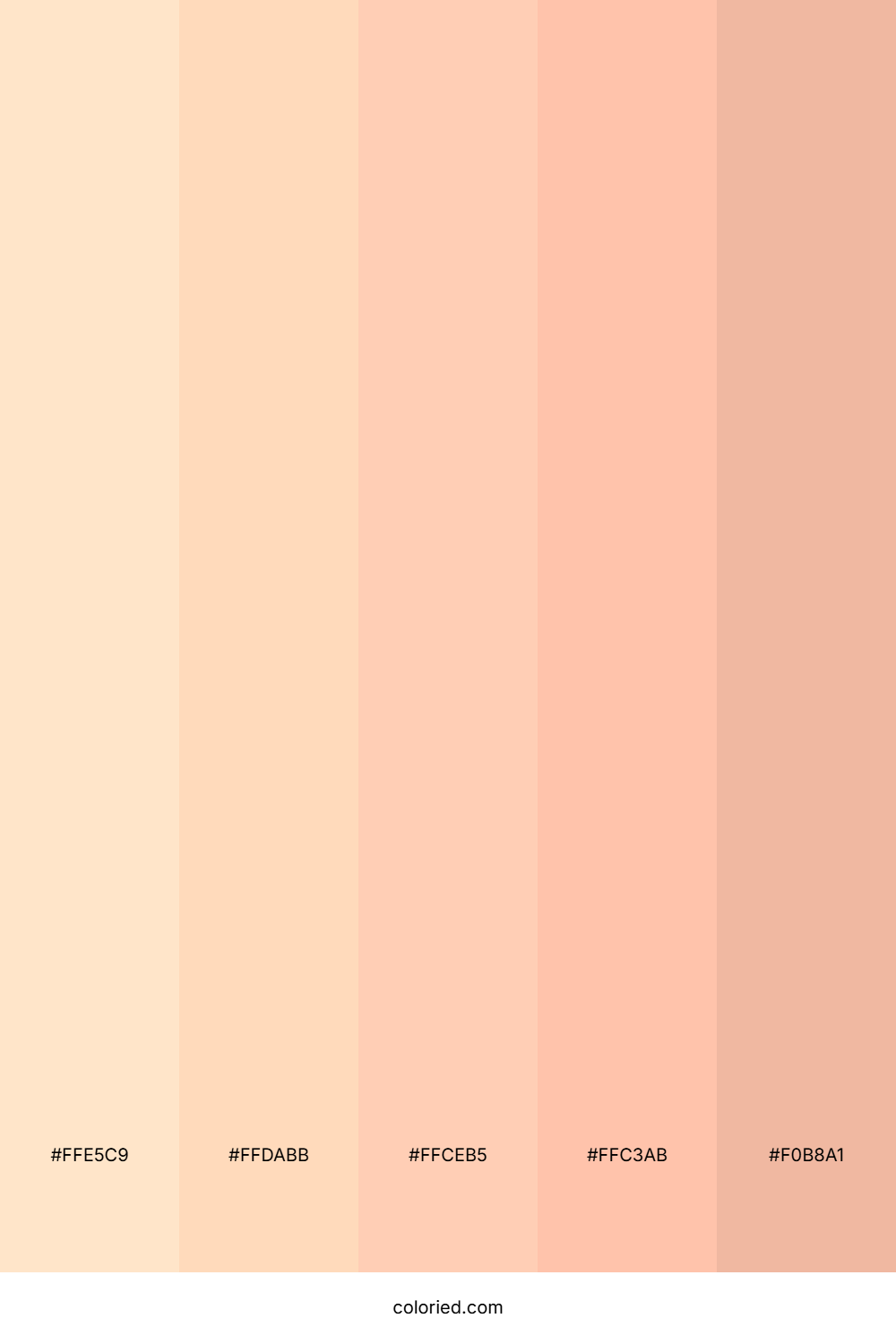 Peachy Glow Sunset Palette