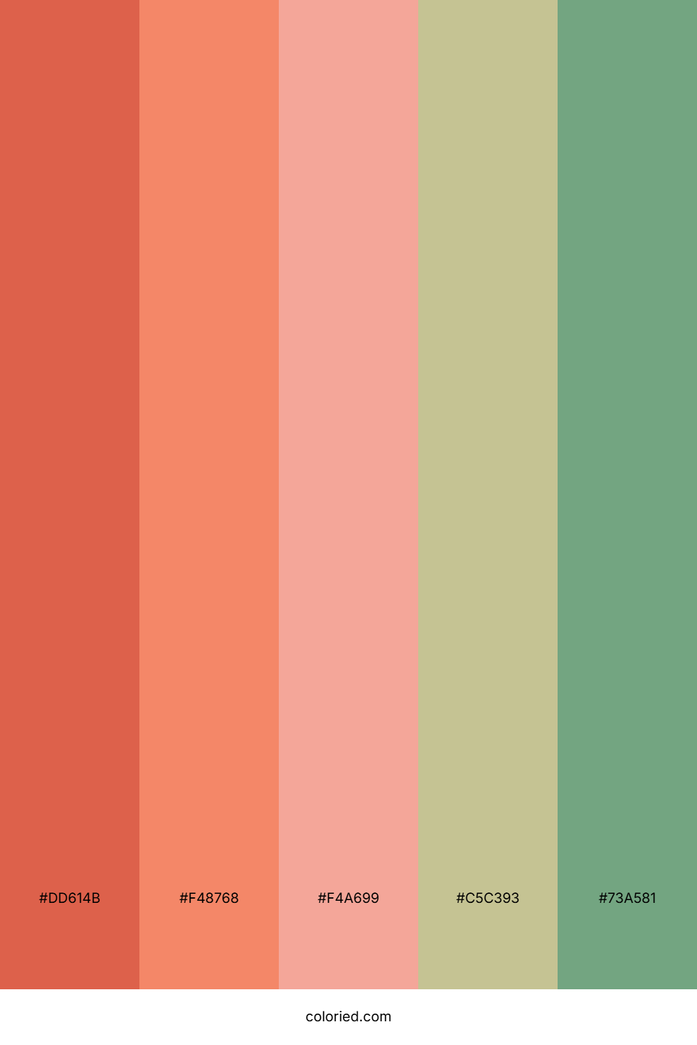 Peachy Rose Sunset Color Palette