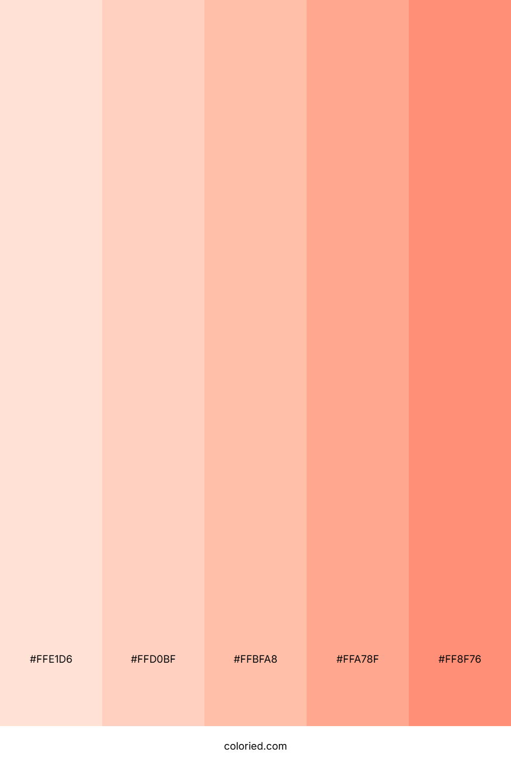 Peachy Skin Color Palette