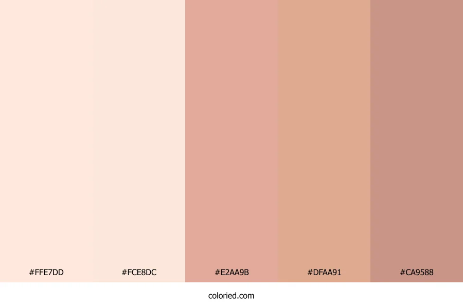 Peachy Soft Sunset Color Palette