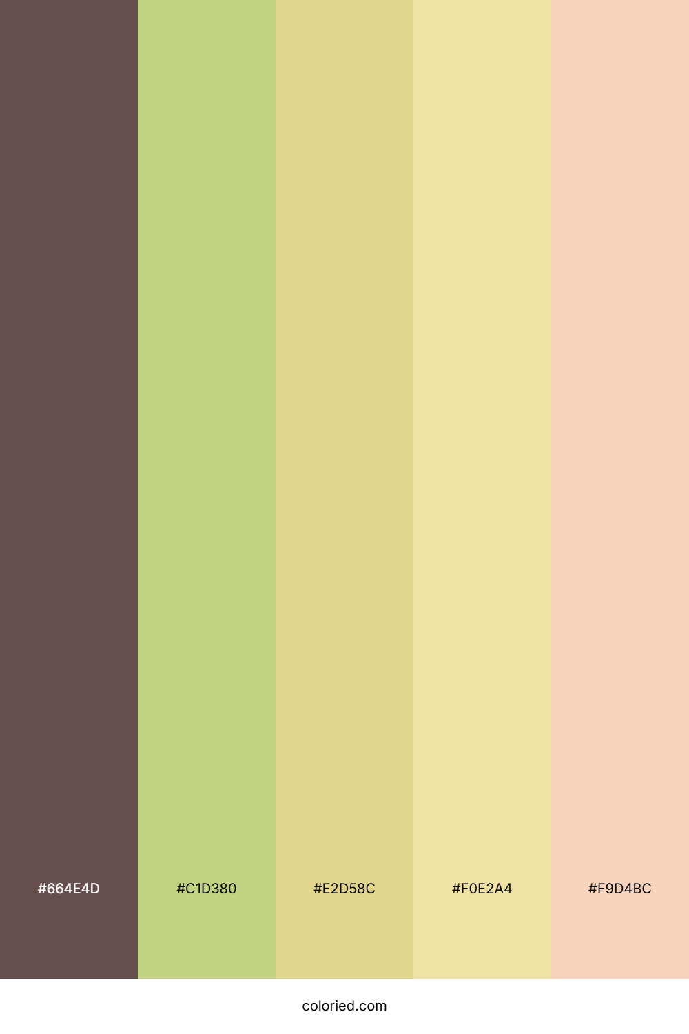 Peachy Spring Morning Color Palette