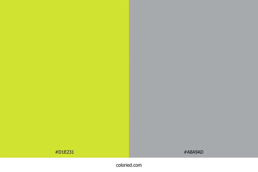 Pear Green and Metallic Silver Dress Combination