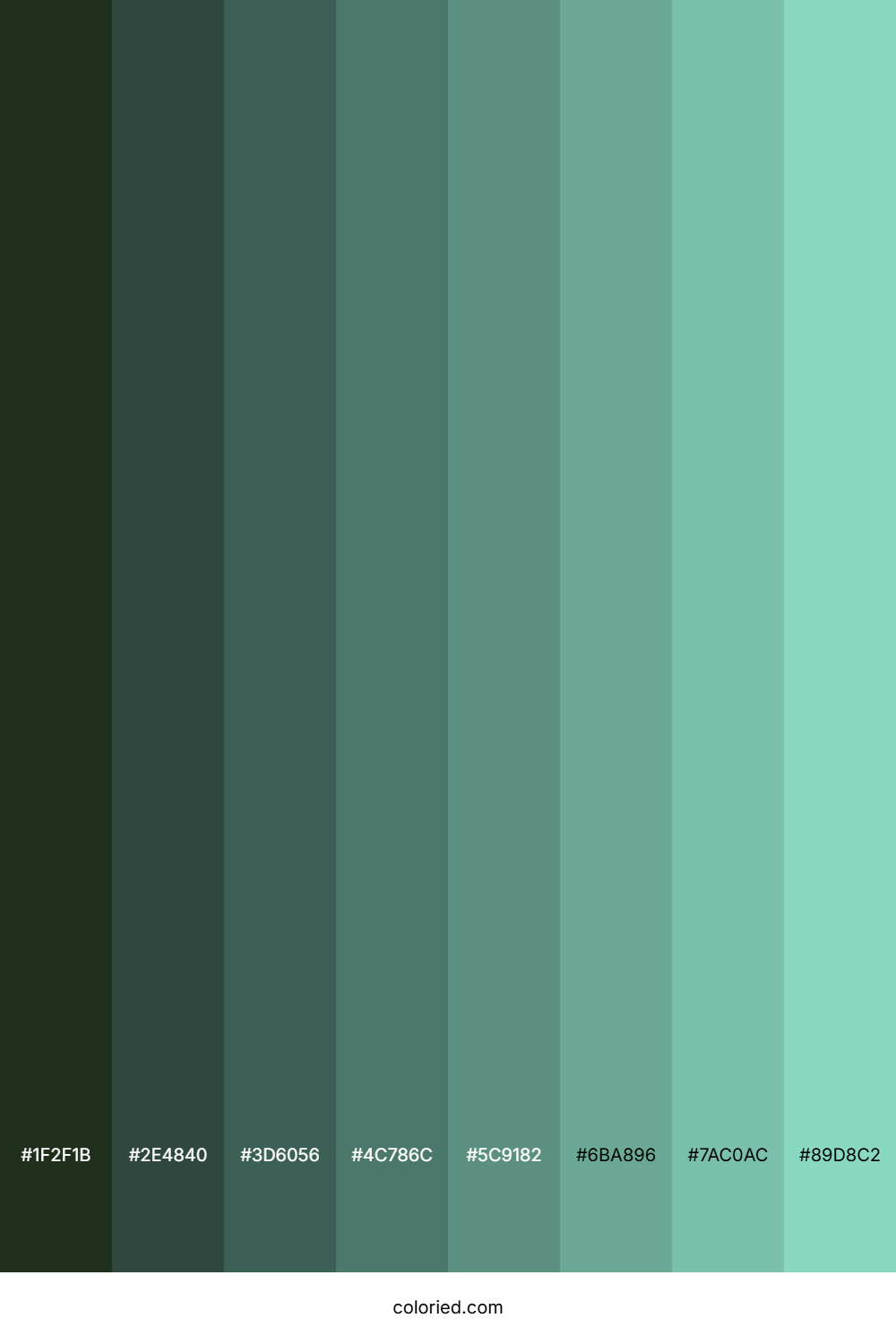 Pearl Aqua Color Shades