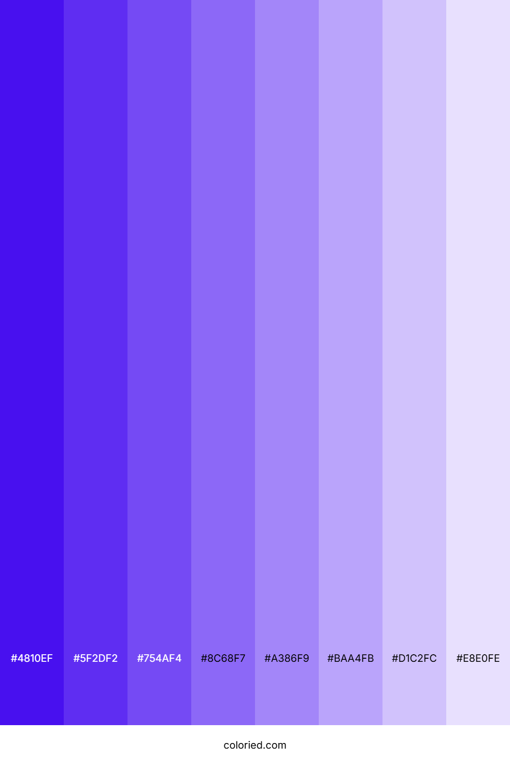 Periwinkle Shades